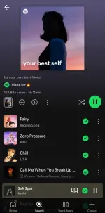 Screenshot_20250508_181055_Spotify.webp