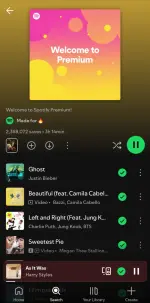 Screenshot_20250508_110521_Spotify.webp