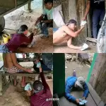 1746715405752.webp