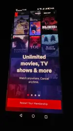 17467694744128487483062797208883.webp