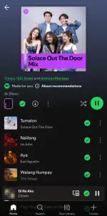 Screenshot_20250509_223956_Spotify.webp