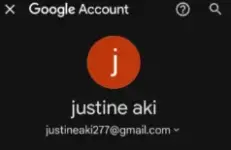 1746882606525.webp
