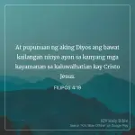 1746532923579.webp