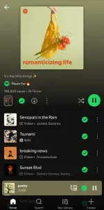 Screenshot_20250511_171517_Spotify.webp
