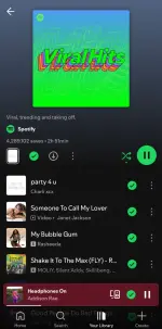 Screenshot_20250511_172832_Spotify.webp