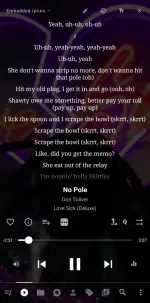 Screenshot_20250511_173134_Musicolet.webp