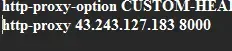 1747202904581.webp