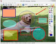 bXhc.jpg bXhc.jpg