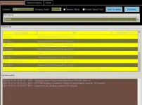 SS1.webp