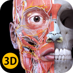 17b7cf144c4ea0333538cb4a627a8976.png 17b7cf144c4ea0333538cb4a627a8976.png