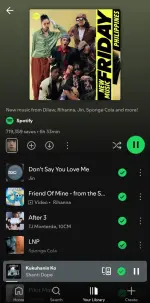 Screenshot_20250517_111723_Spotify.webp