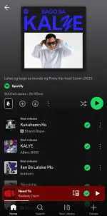 Screenshot_20250517_091742_Spotify.webp