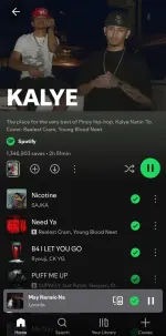 Screenshot_20250517_115408_Spotify.webp Screenshot_20250517_115408_Spotify.webp