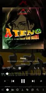 Screenshot_20250517_144504_Musicolet.webp