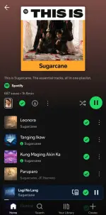 Screenshot_20250518_075840_Spotify.webp