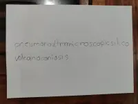 1000079851.webp