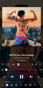 Screenshot_20250518_231719_Musicolet.webp