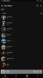Screenshot_20250519-095159_Spotify.webp Screenshot_20250519-095159_Spotify.webp