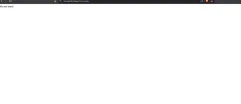 1747825354420.webp