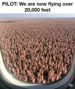 1747877676615.webp