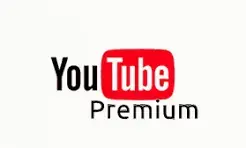 1748002103322.webp