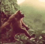 200.gif