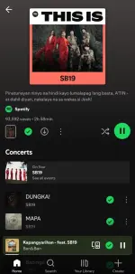 Screenshot_20250525_175932_Spotify.webp