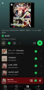 Screenshot_20250525_182128_Spotify.webp