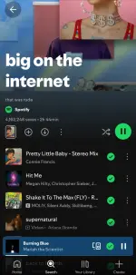 Screenshot_20250525_212045_Spotify.webp