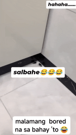CockroachsRace-ezgif.com-optimize.gif