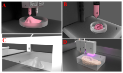 biomedicines-13-00731-g001.png