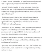 dfa-moves-to-cancel-roques-passport p4.webp dfa-moves-to-cancel-roques-passport p4.webp