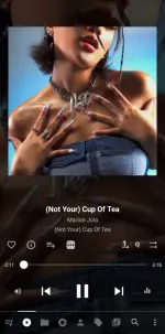 Screenshot_20250528_235134_Musicolet.webp