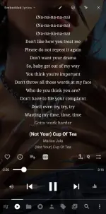 Screenshot_20250528_235155_Musicolet.webp