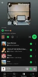 Screenshot_20250528_235717_Spotify.webp