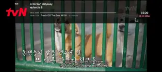 Screenshot_20250529_192017.webp