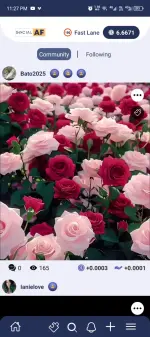 Screenshot_20250529-232729.webp