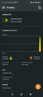 Screenshot_2025-05-30-07-31-11-684_net.openvpn.openvpn.webp Screenshot_2025-05-30-07-31-11-684_net.openvpn.openvpn.webp