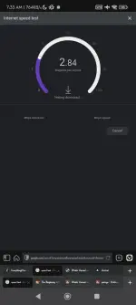 Screenshot_2025-05-30-07-33-39-834_com.vivaldi.browser.webp Screenshot_2025-05-30-07-33-39-834_com.vivaldi.browser.webp