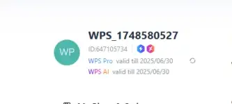 1748580651519.webp