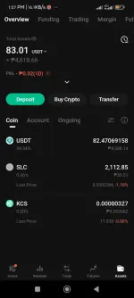 Screenshot_2025-05-30-13-07-35-987_com.kubi.kucoin.webp Screenshot_2025-05-30-13-07-35-987_com.kubi.kucoin.webp