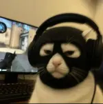 ssstik.io_1748598659019.webp