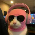 ssstik.io_1748599353698.webp