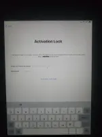 17486286571712875602748939589597.webp