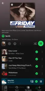 Screenshot_20250531_233441_Spotify.webp Screenshot_20250531_233441_Spotify.webp