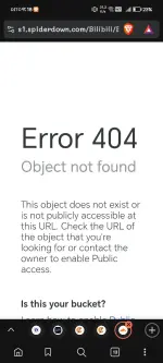 Screenshot_20250601_091852_com_brave_browser_ChromeTabbedActivity.webp