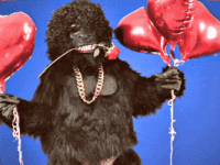 200.gif 200.gif