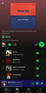 Screenshot_20250602_135056_Spotify.webp