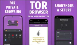 1000003509.webp 1000003509.webp