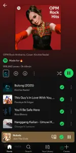 Screenshot_20250604_011707_Spotify.webp